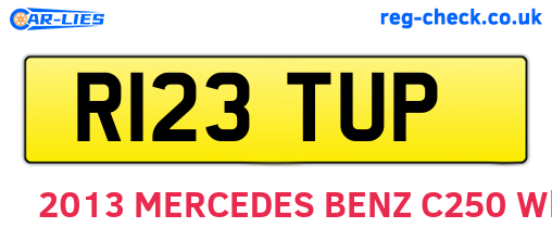 R123TUP are the vehicle registration plates.