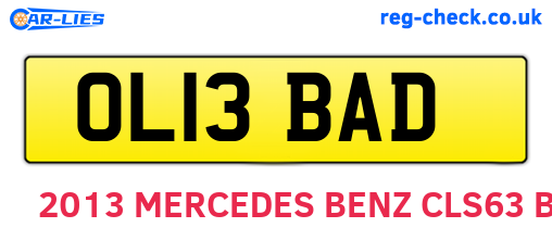 OL13BAD are the vehicle registration plates.