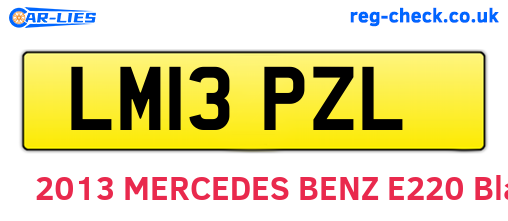 LM13PZL are the vehicle registration plates.