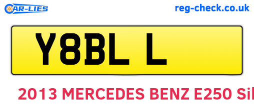 Y8BLL are the vehicle registration plates.