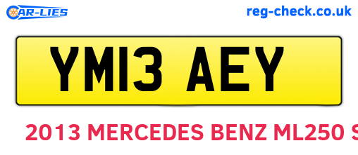 YM13AEY are the vehicle registration plates.