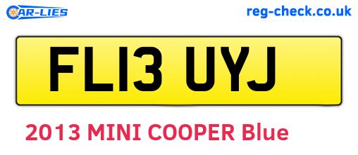 FL13UYJ are the vehicle registration plates.