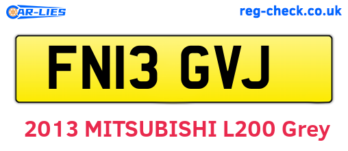 FN13GVJ are the vehicle registration plates.