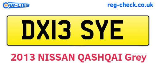 DX13SYE are the vehicle registration plates.