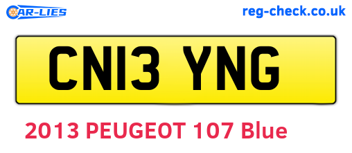 CN13YNG are the vehicle registration plates.