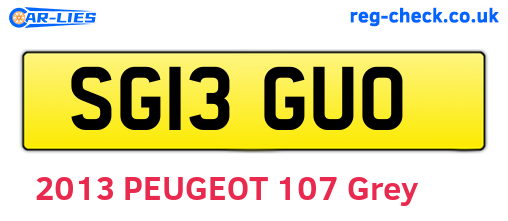 SG13GUO are the vehicle registration plates.