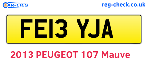 FE13YJA are the vehicle registration plates.