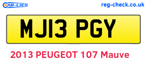 MJ13PGY are the vehicle registration plates.