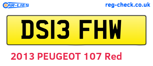 DS13FHW are the vehicle registration plates.