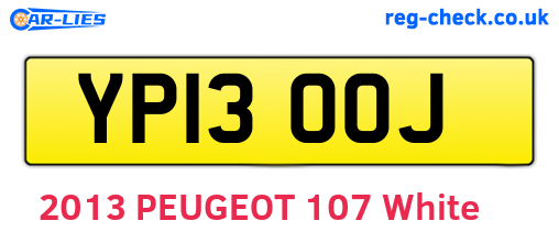 YP13OOJ are the vehicle registration plates.