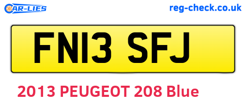 FN13SFJ are the vehicle registration plates.