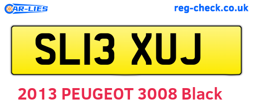 SL13XUJ are the vehicle registration plates.
