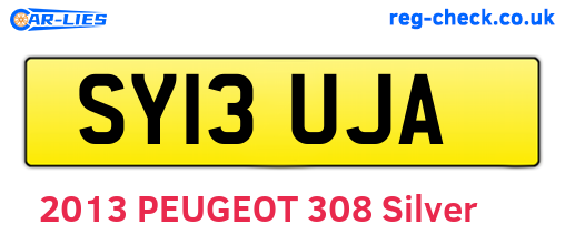 SY13UJA are the vehicle registration plates.