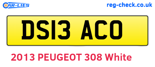 DS13ACO are the vehicle registration plates.