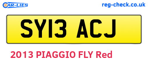 SY13ACJ are the vehicle registration plates.