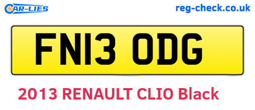 FN13ODG are the vehicle registration plates.
