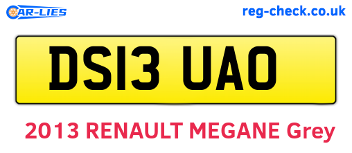 DS13UAO are the vehicle registration plates.