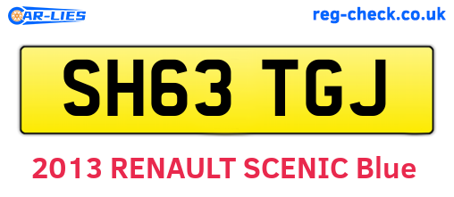 SH63TGJ are the vehicle registration plates.
