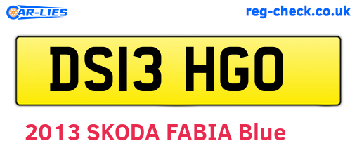 DS13HGO are the vehicle registration plates.