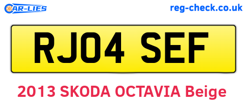 RJ04SEF are the vehicle registration plates.