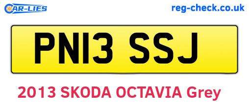 PN13SSJ are the vehicle registration plates.
