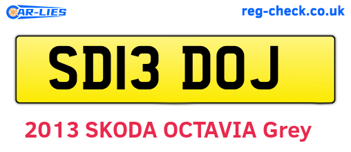 SD13DOJ are the vehicle registration plates.