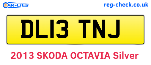 DL13TNJ are the vehicle registration plates.