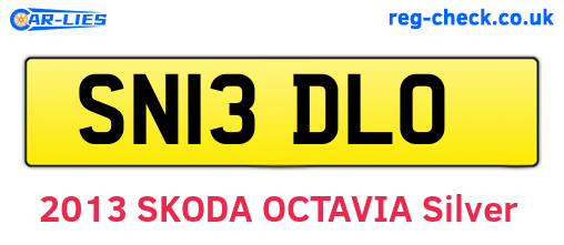 SN13DLO are the vehicle registration plates.