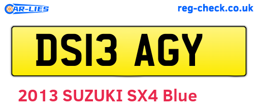 DS13AGY are the vehicle registration plates.