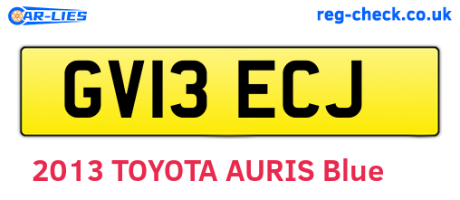 GV13ECJ are the vehicle registration plates.