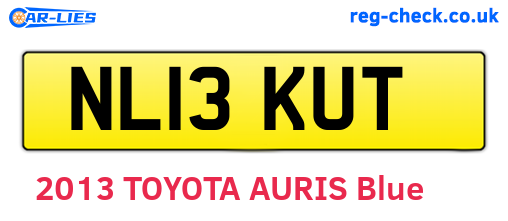 NL13KUT are the vehicle registration plates.