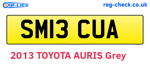 SM13CUA are the vehicle registration plates.