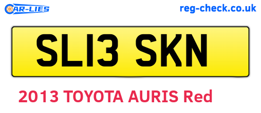 SL13SKN are the vehicle registration plates.