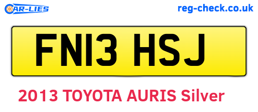 FN13HSJ are the vehicle registration plates.