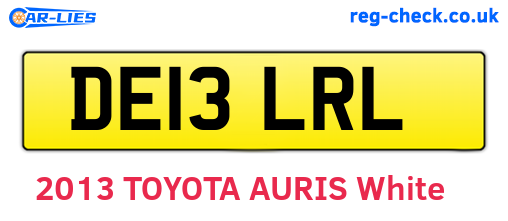 DE13LRL are the vehicle registration plates.