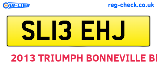 SL13EHJ are the vehicle registration plates.