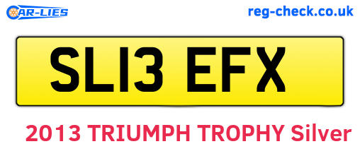 SL13EFX are the vehicle registration plates.