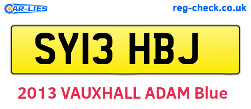 SY13HBJ are the vehicle registration plates.