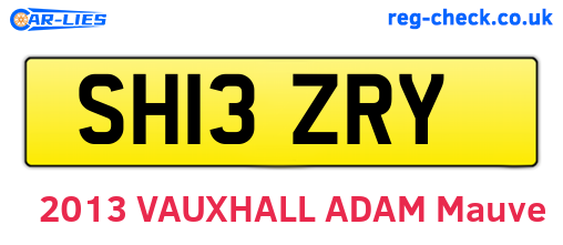 SH13ZRY are the vehicle registration plates.