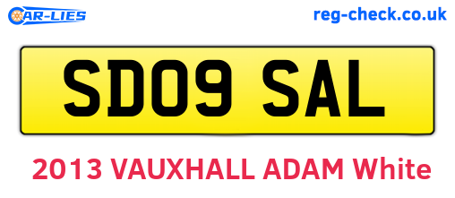 SD09SAL are the vehicle registration plates.
