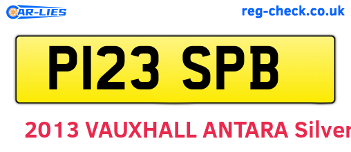 P123SPB are the vehicle registration plates.