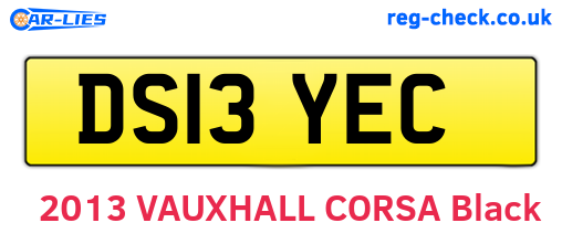 DS13YEC are the vehicle registration plates.