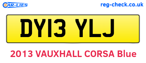 DY13YLJ are the vehicle registration plates.