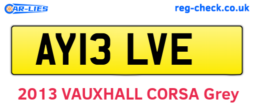AY13LVE are the vehicle registration plates.