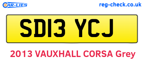 SD13YCJ are the vehicle registration plates.