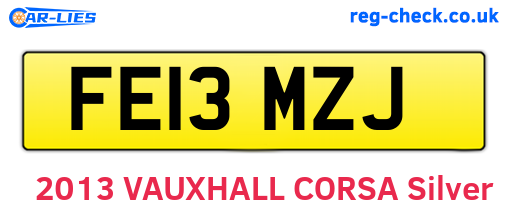 FE13MZJ are the vehicle registration plates.