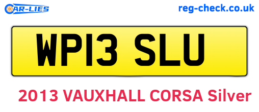 WP13SLU are the vehicle registration plates.