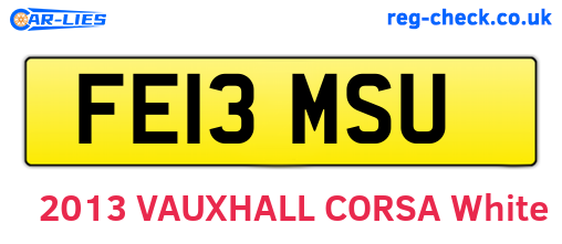 FE13MSU are the vehicle registration plates.