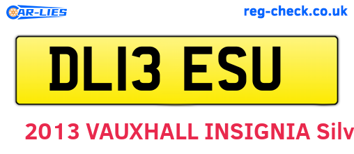 DL13ESU are the vehicle registration plates.