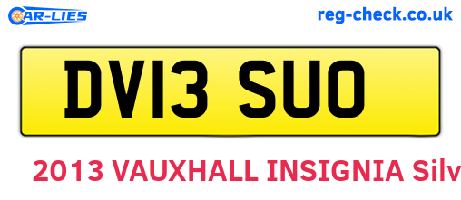 DV13SUO are the vehicle registration plates.